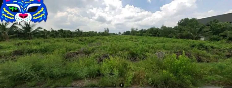 ที่ดินแปลงสวย รูปที่ 3