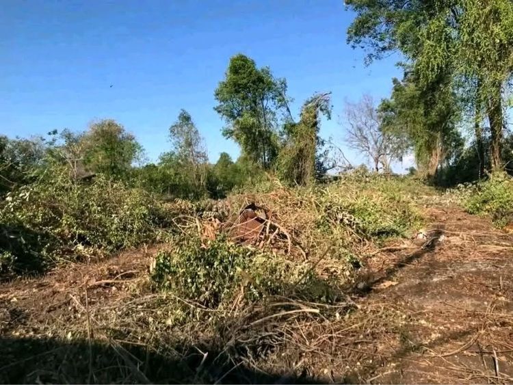 ที่ดินแปลงสวย รูปที่ 4