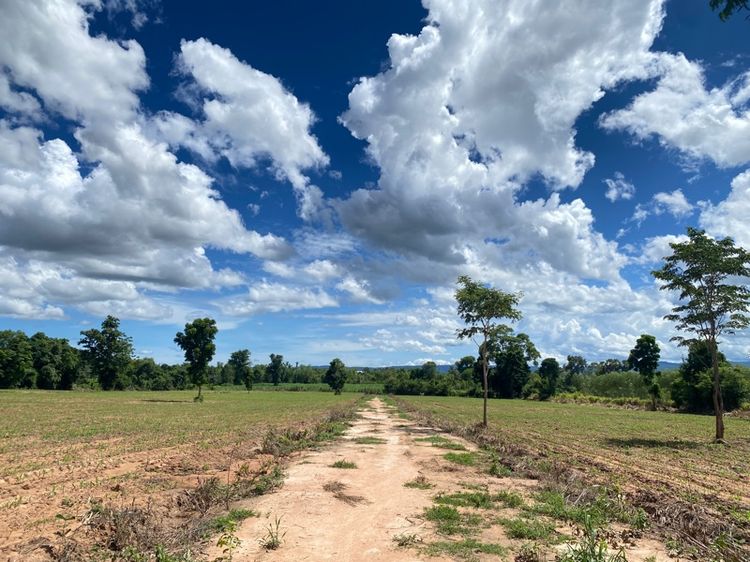 ไม่ใช่ ที่ดินวังน้ำเขียว โฉนดครุฑแดง รูปที่ 2