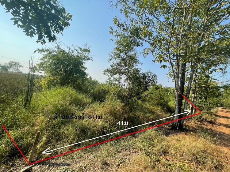ขายที่ดินหนองจอก 1 ไร่ 2 งาน 73.0 ตารางวา ราคา 5ล้านบาทถ้วน รูปที่ 3