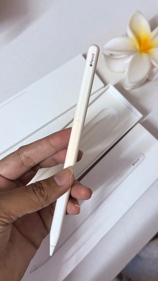 Apple pencil Gen 2 รูปที่ 3