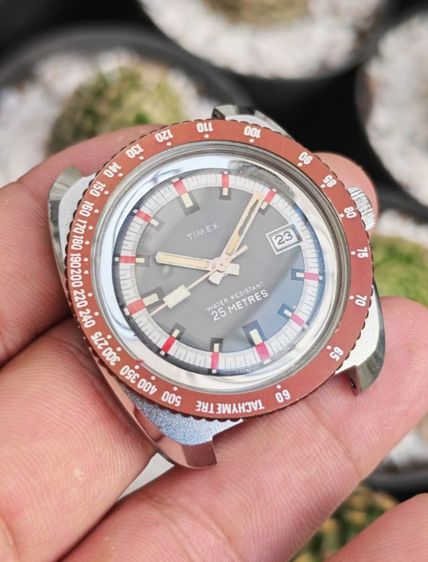 นาฬิกา​ Vintage​ Timex Marlin ระบบไขลาน​ หายากแล้วครับ​ แบ่งปันกันเบาๆครับ รูปที่ 3