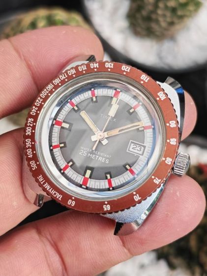 นาฬิกา​ Vintage​ Timex Marlin ระบบไขลาน​ หายากแล้วครับ​ แบ่งปันกันเบาๆครับ รูปที่ 4