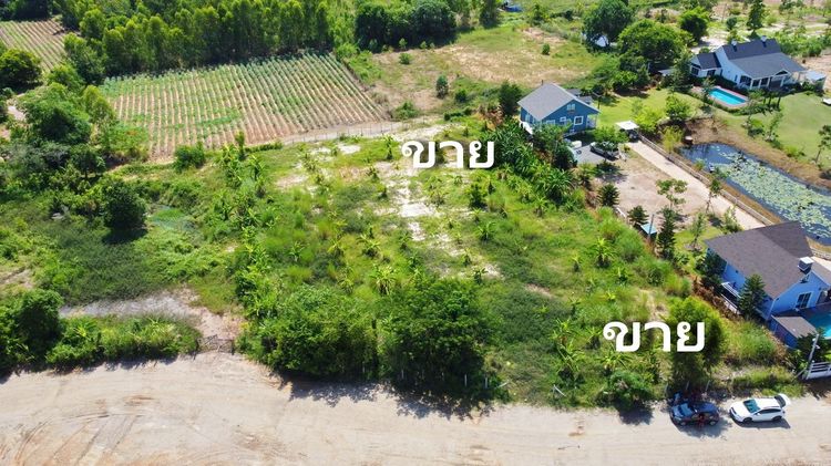ขายที่ดิน  ก้นอ่าว ตำบลเพ  อำเภอเมืองระยอง  จังหวัดระยอง รูปที่ 4