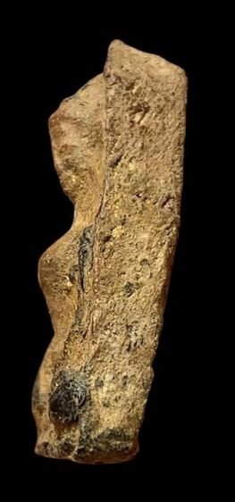 พระผงสุพรรณ รูปที่ 5