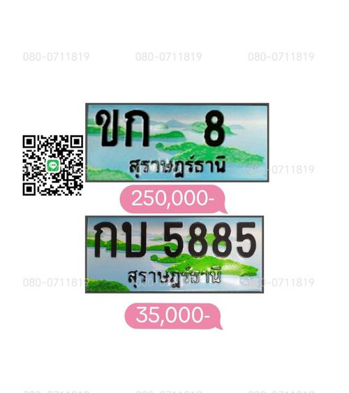 ทะเบียนประมูล สุราษฎร์ธานี