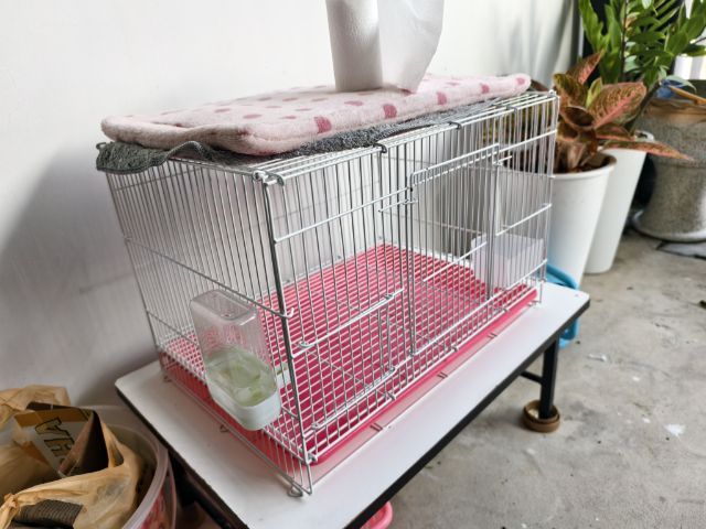 กรงสัตว์เลี้ยง