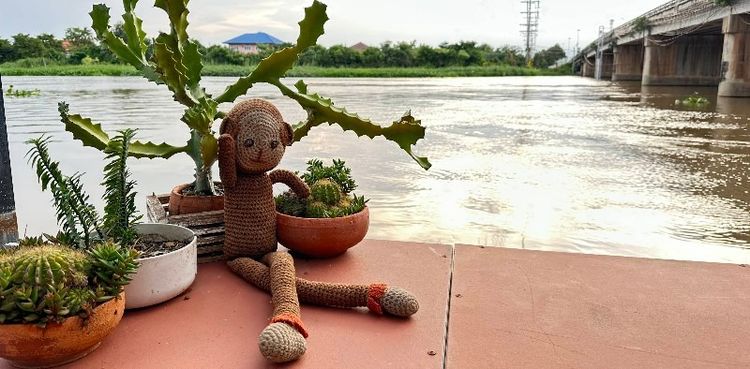 ขายที่ดินพร้อมสิ่งปลูกสร้างติดแม่น้ำท่าจีนบางเลน อยู่ตรงบนถนนประทุม-บางเลน ช่วงสะพานข้ามแม่น้ำท่าจีน ขนาดพื้นที่ 81 ตารางวา รูปที่ 2