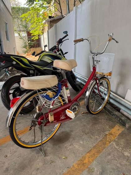 จักรยานเฟสสัน รูปที่ 2