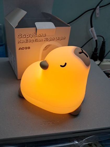 กระติกใส่น้ำแข็ง หรือใส่อาหาร เก็บความร้อนเย็นได้ ขนาด 50×30 และ 20×22 ซม. รวม2 ใบ 590.- โคมไฟชาร์ไฟบ้าน USB 290.- รูปที่ 6