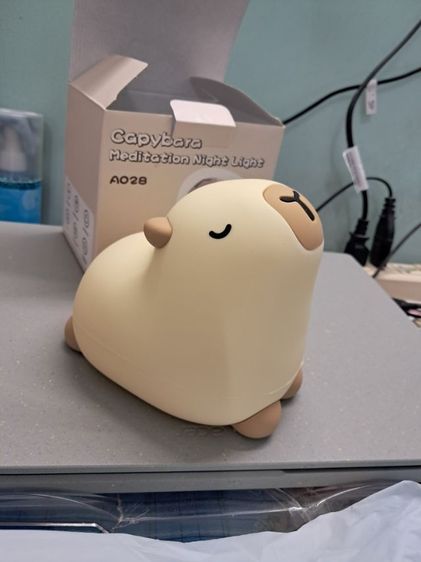 กระติกใส่น้ำแข็ง หรือใส่อาหาร เก็บความร้อนเย็นได้ ขนาด 50×30 และ 20×22 ซม. รวม2 ใบ 590.- โคมไฟชาร์ไฟบ้าน USB 290.- รูปที่ 9