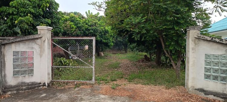 ขายที่ดินสวยผลไม้