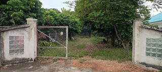 ขายที่ดินสวยผลไม้