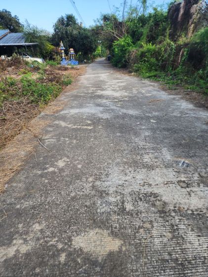 ขายที่ดิน สุพรรณบุรี 1ไร่ กว่า ติดถนนใหญ่ ใกล้แม่น้ำท่าจีน รูปที่ 3