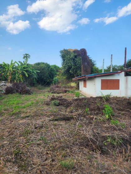 ขายที่ดิน สุพรรณบุรี 1ไร่ กว่า ติดถนนใหญ่ ใกล้แม่น้ำท่าจีน รูปที่ 2