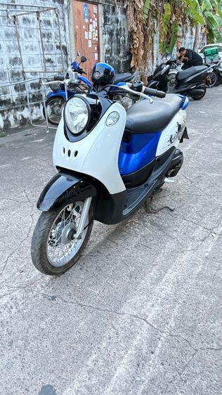 ฟีโน่ปี10 รูปที่ 9