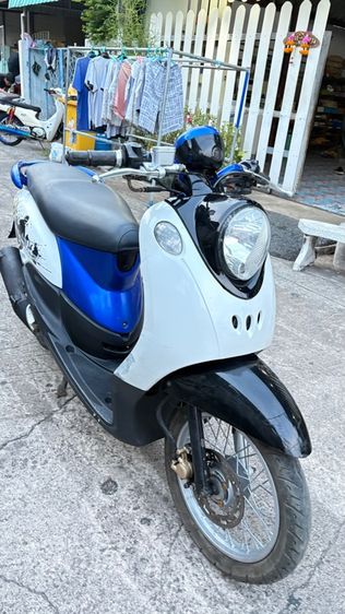 ฟีโน่ปี10 รูปที่ 10