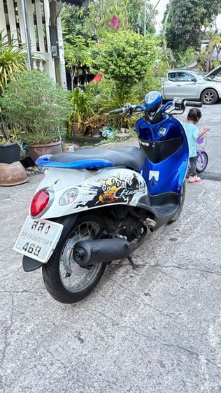 ฟีโน่ปี10 รูปที่ 7