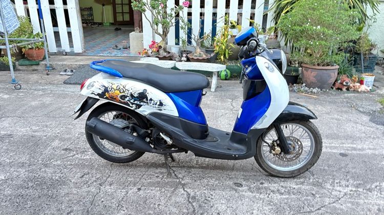 ฟีโน่ปี10