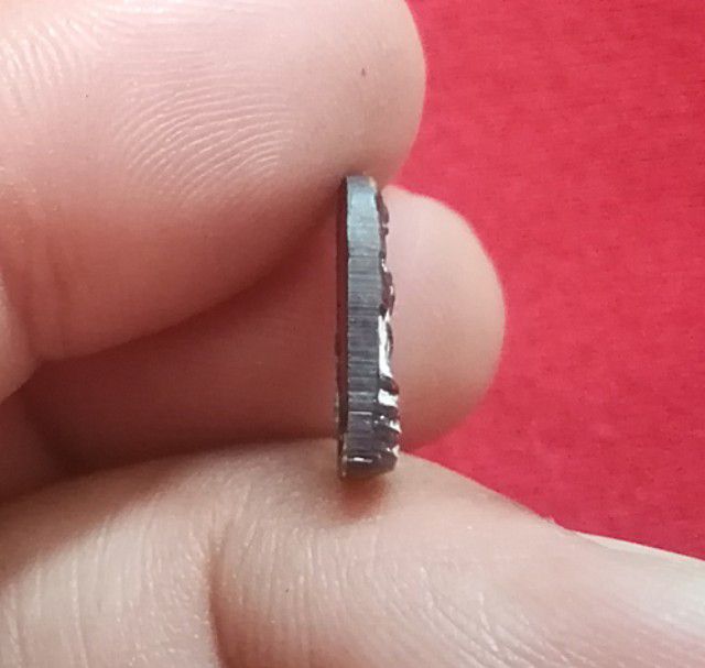 พระนาคปรก หลวงปู่ดู่ รูปที่ 4