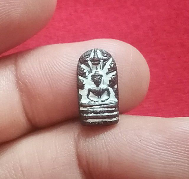 พระนาคปรก หลวงปู่ดู่ รูปที่ 6