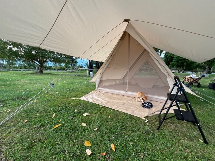 Nordisk Kari 20 (Tarp) รูปที่ 16