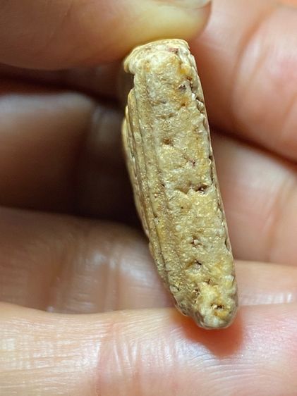 พระสมเด็จเก่า รูปที่ 12