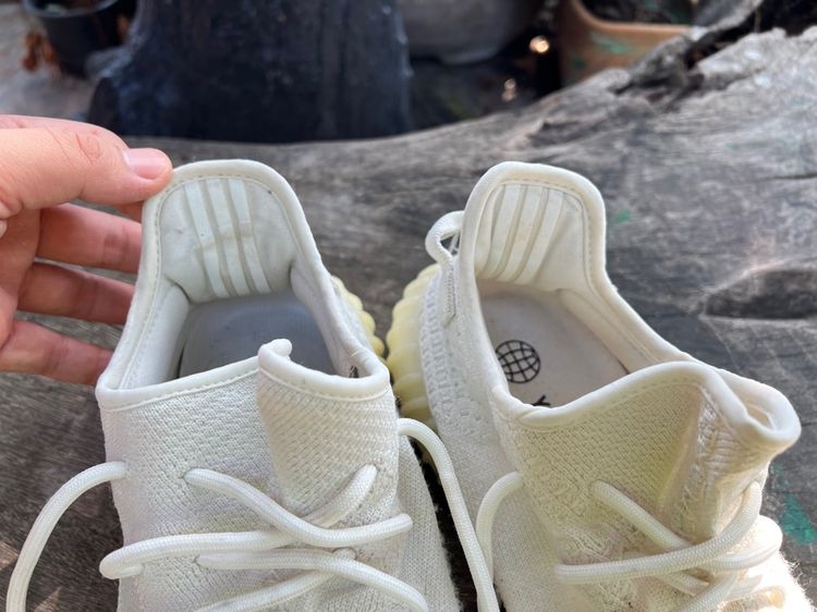 adidas รูปที่ 10