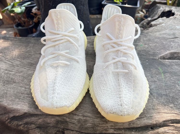 adidas รูปที่ 3