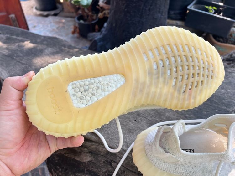 adidas รูปที่ 11