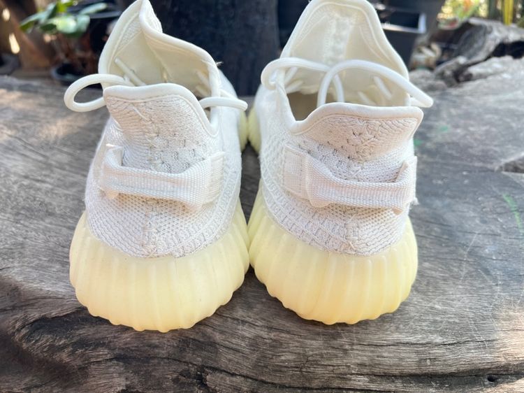 adidas รูปที่ 7