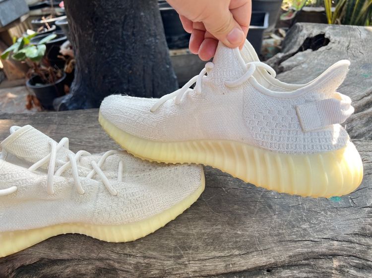 adidas รูปที่ 5