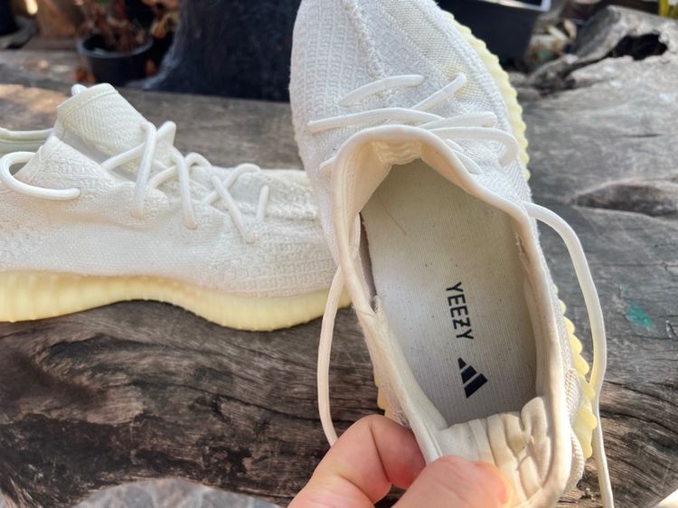 adidas รูปที่ 8