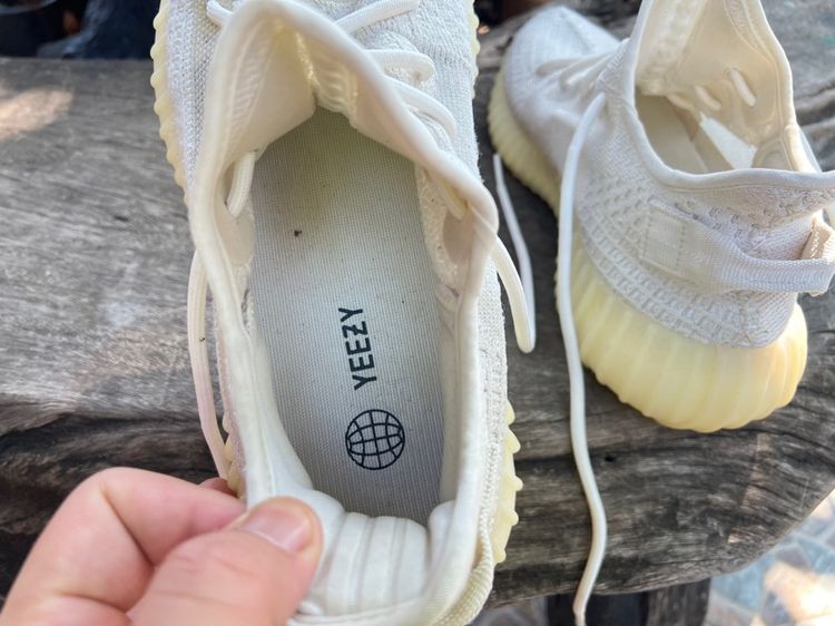 adidas รูปที่ 9