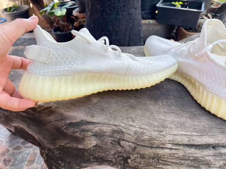 adidas รูปที่ 6