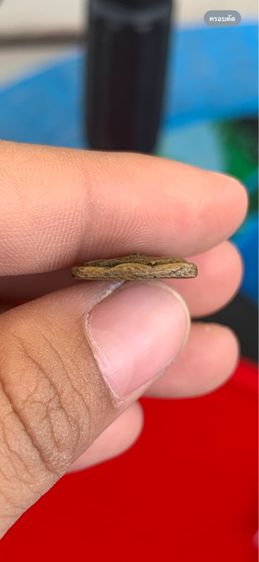 จอบเล็กหลวงพ่อเงิน รูปที่ 5