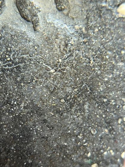 พระสมเด็จวัดระฆังพิมพ์ใหญ่หลังอักษรจีนเนื้อใบลาน รูปที่ 15