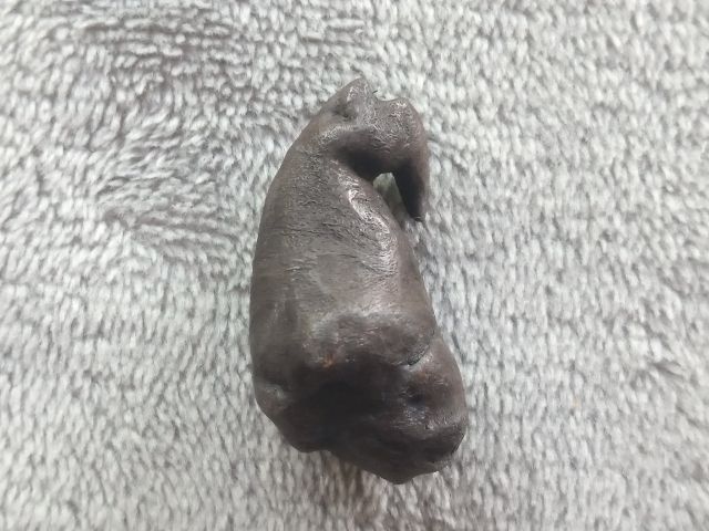 คตไม้ รูปที่ 2