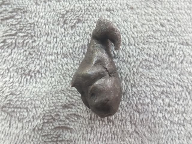 คตไม้