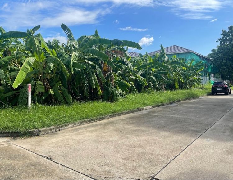 ที่ดิน 176 ตร วา ในหมู่บ้าน มาสเตอร์ พีซ  เลียบด่วนรามอินทรา เอกมัย