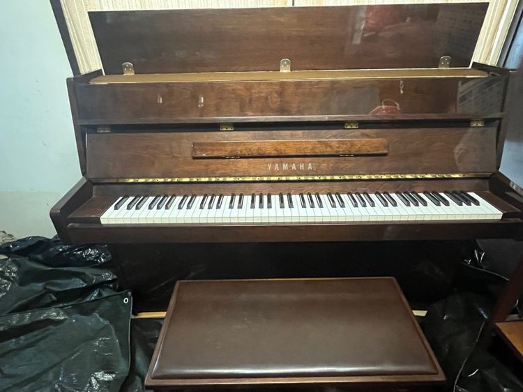 piano รูปที่ 2