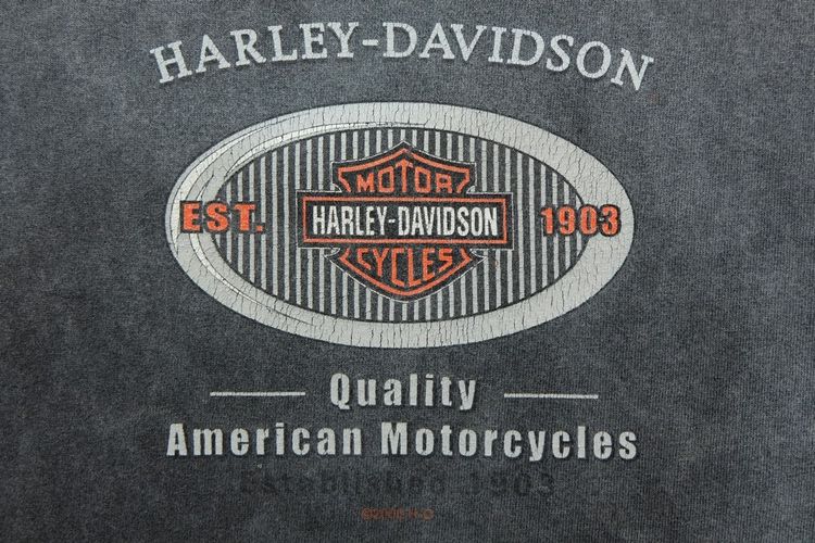 HARLEY DAVIDSON (Made in U.S.A.) รูปที่ 10