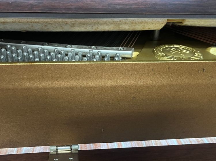 piano รูปที่ 11