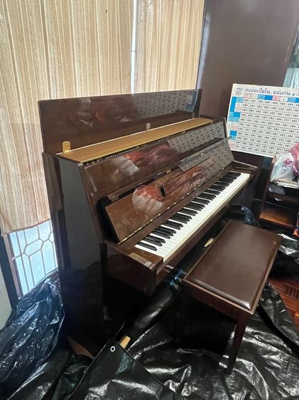 piano รูปที่ 5