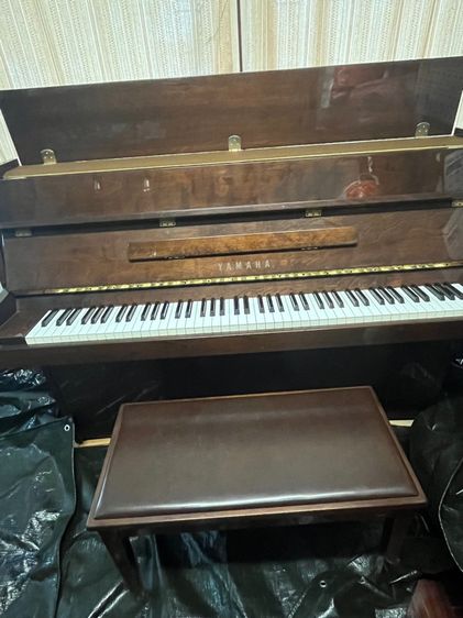 piano รูปที่ 3