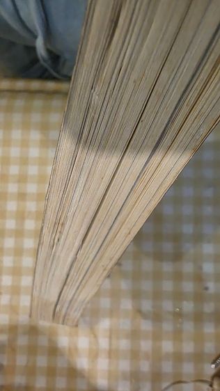 Dr. Pop's Girls and A Doll รูปที่ 2