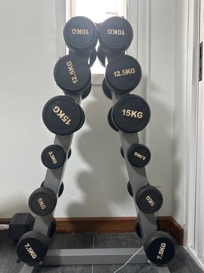 เครื่องออกกำลังกายสำหรับแขน ชุดดัมเบล 2.5 - 20 kg