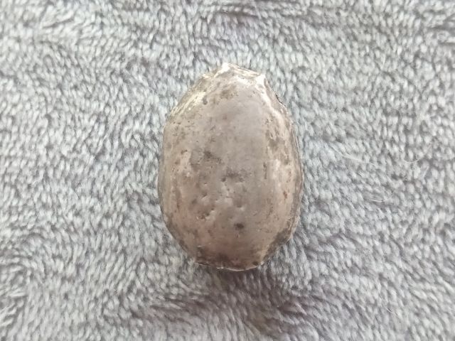 นางกวักเขาแกะหลังแผ่นเงิน รูปที่ 10