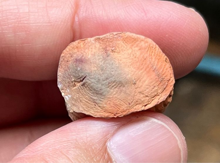 พระสังกัจจายหลวงปู่สุขโพธิ์ทรายทอง รูปที่ 4