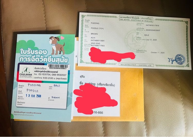 พุดเดิ้ลทอย รูปที่ 10